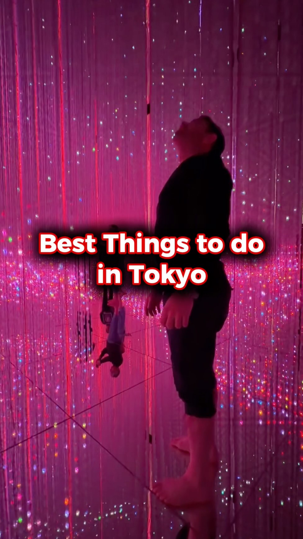 Popular Tokyo Attractions and Entertainment
