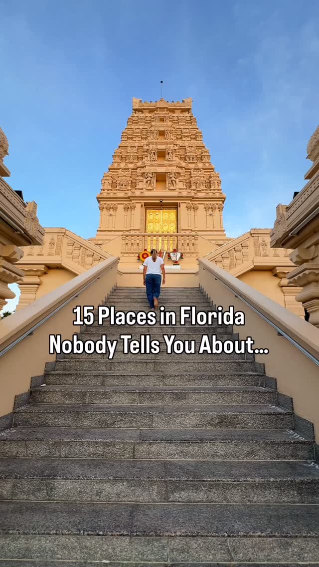 Florida's Must-See Museums and Natural Wonders
