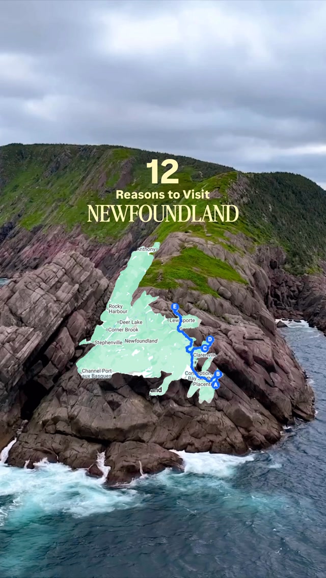Newfoundland's Colorful Coastal Towns And Natural Wonders