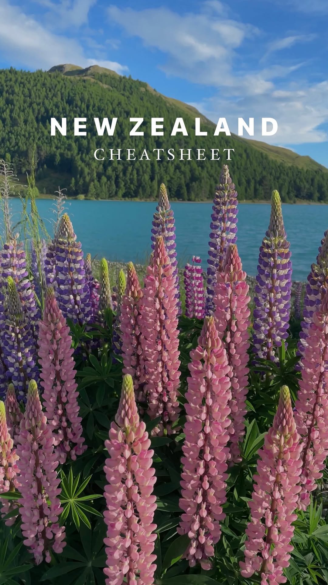 New Zealand's Most Stunning Natural Wonders
