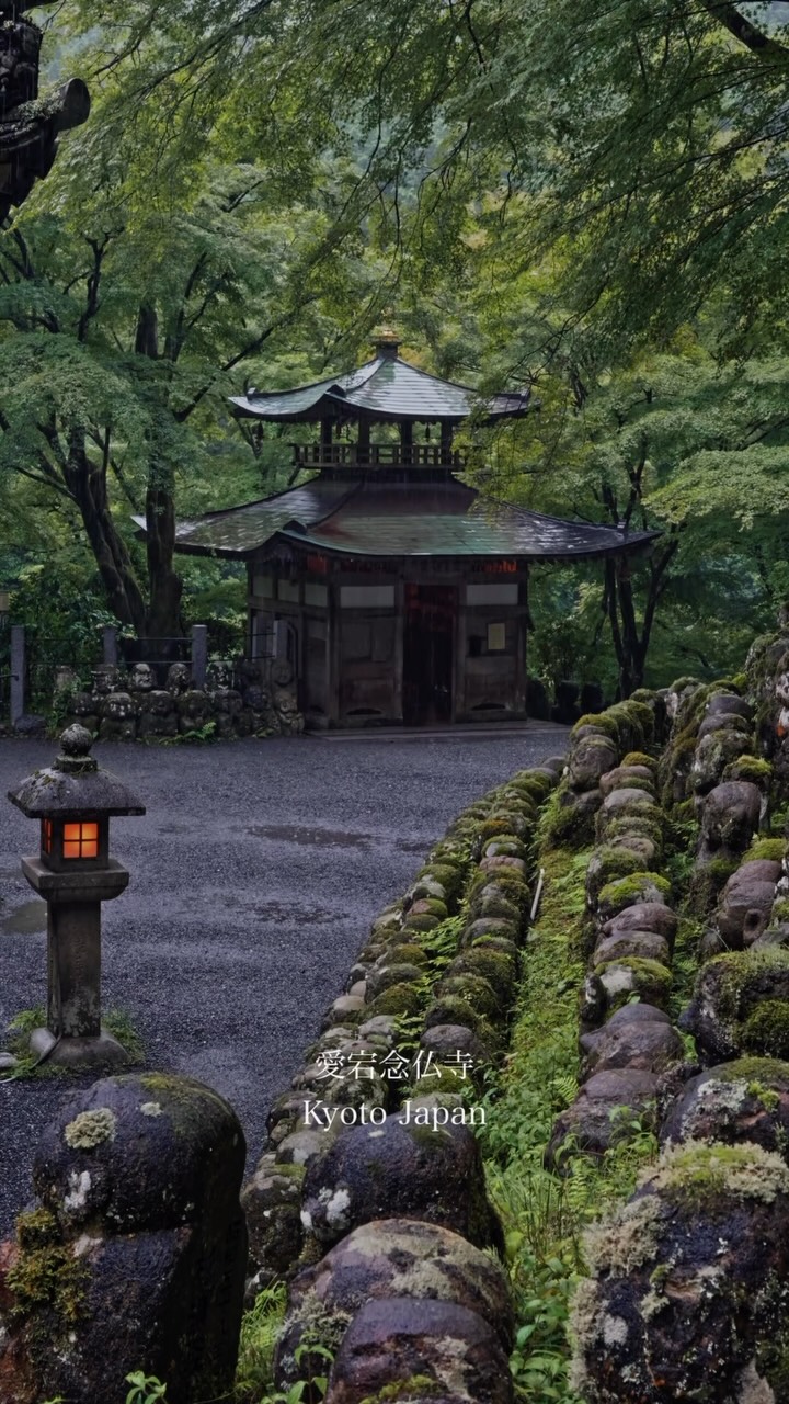 Otagi Nenbutsuji Temple's Moss-Covered Rakan Statues