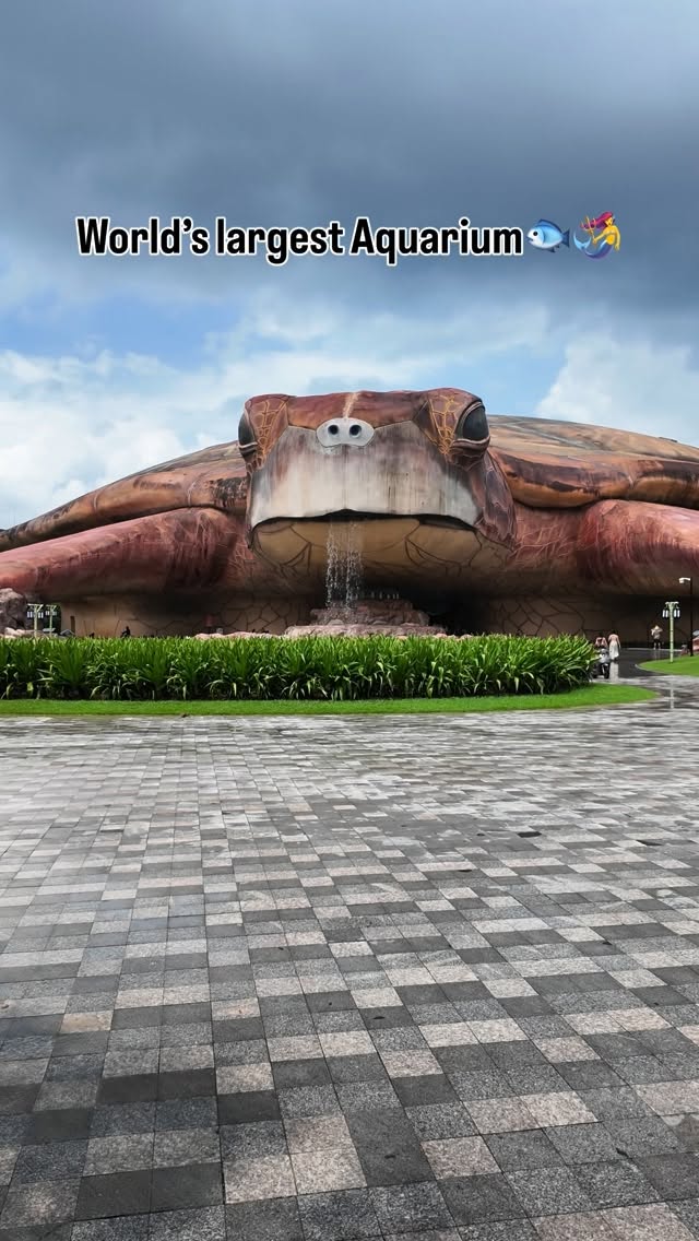 Georgia Aquarium: World's Largest Aquarium