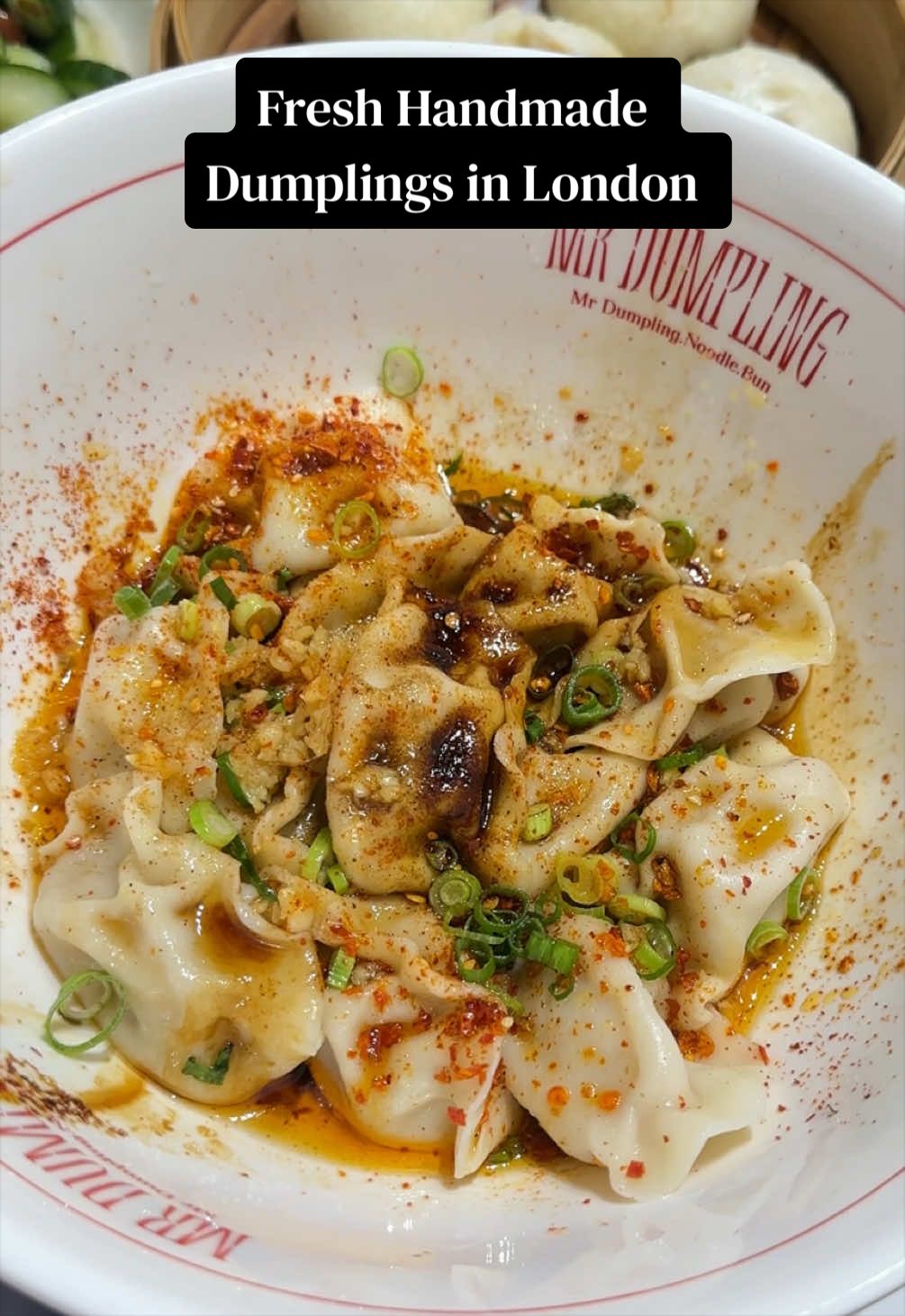 Handmade Dumplings and Noodles at Mr Dumpling