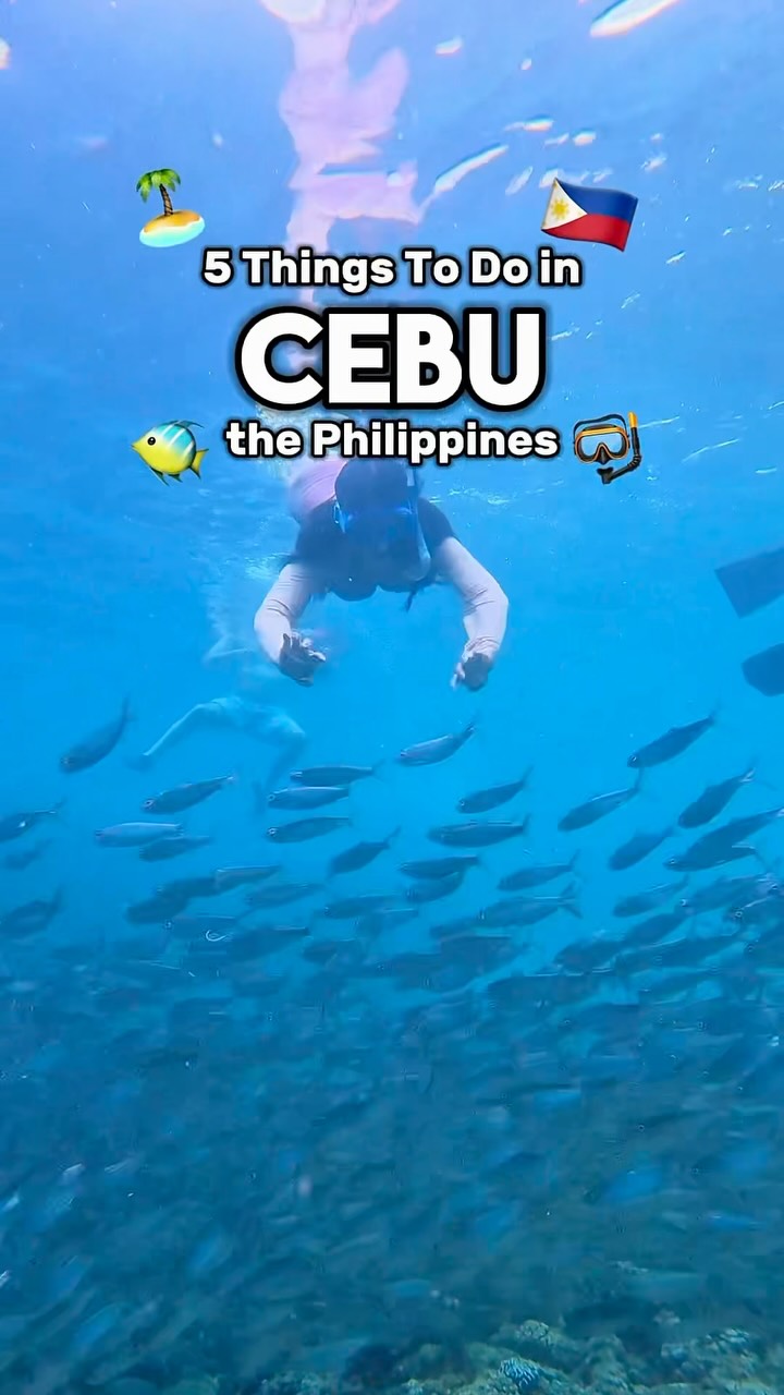 4 Attractions in Central Visayas