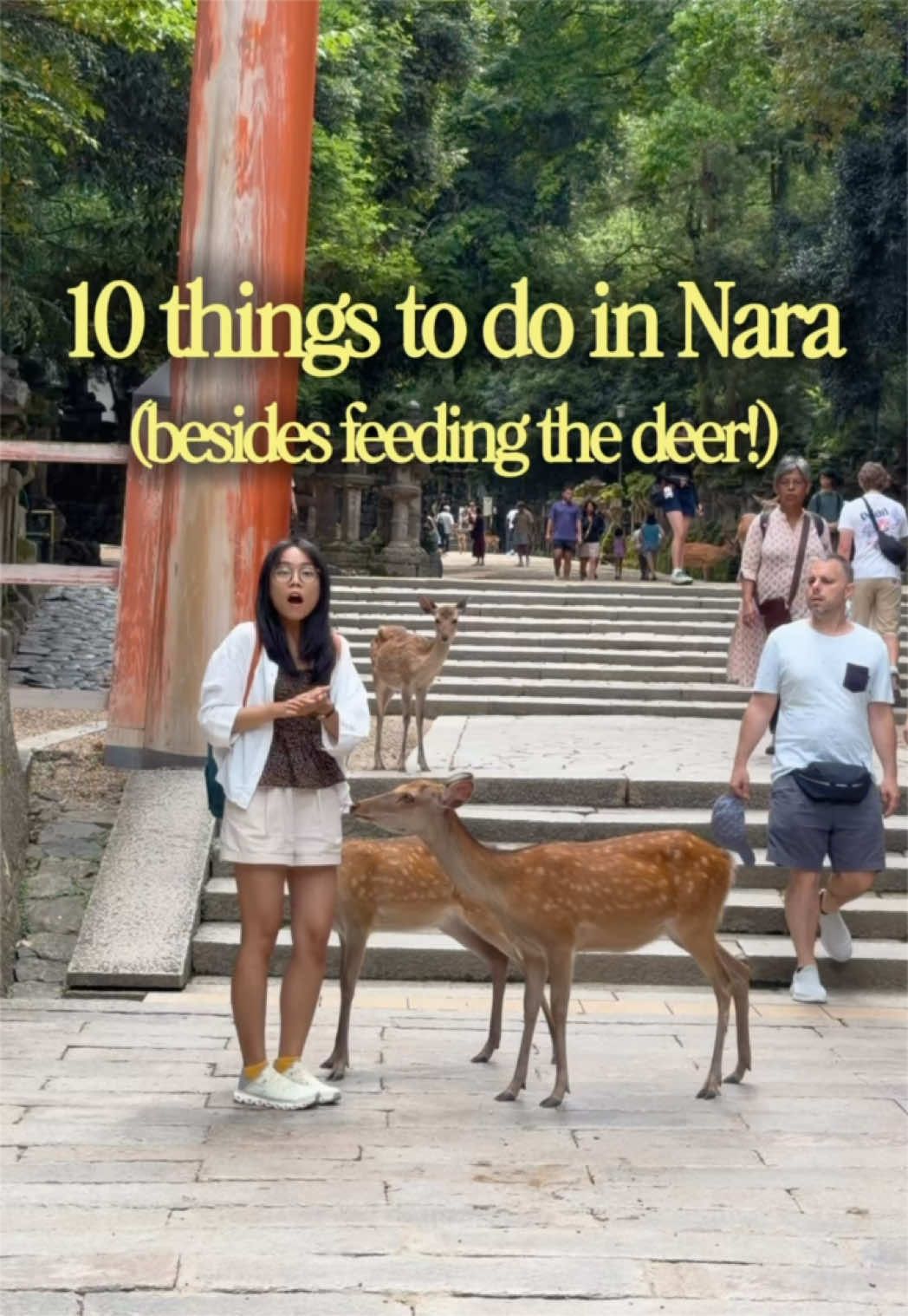 10 Attractions in Nara