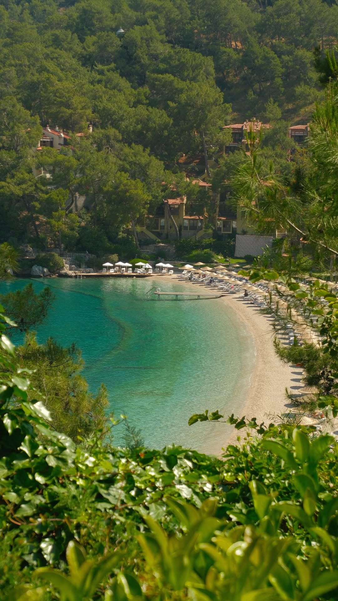 Hillside Beach Club's High Guest Return Rate