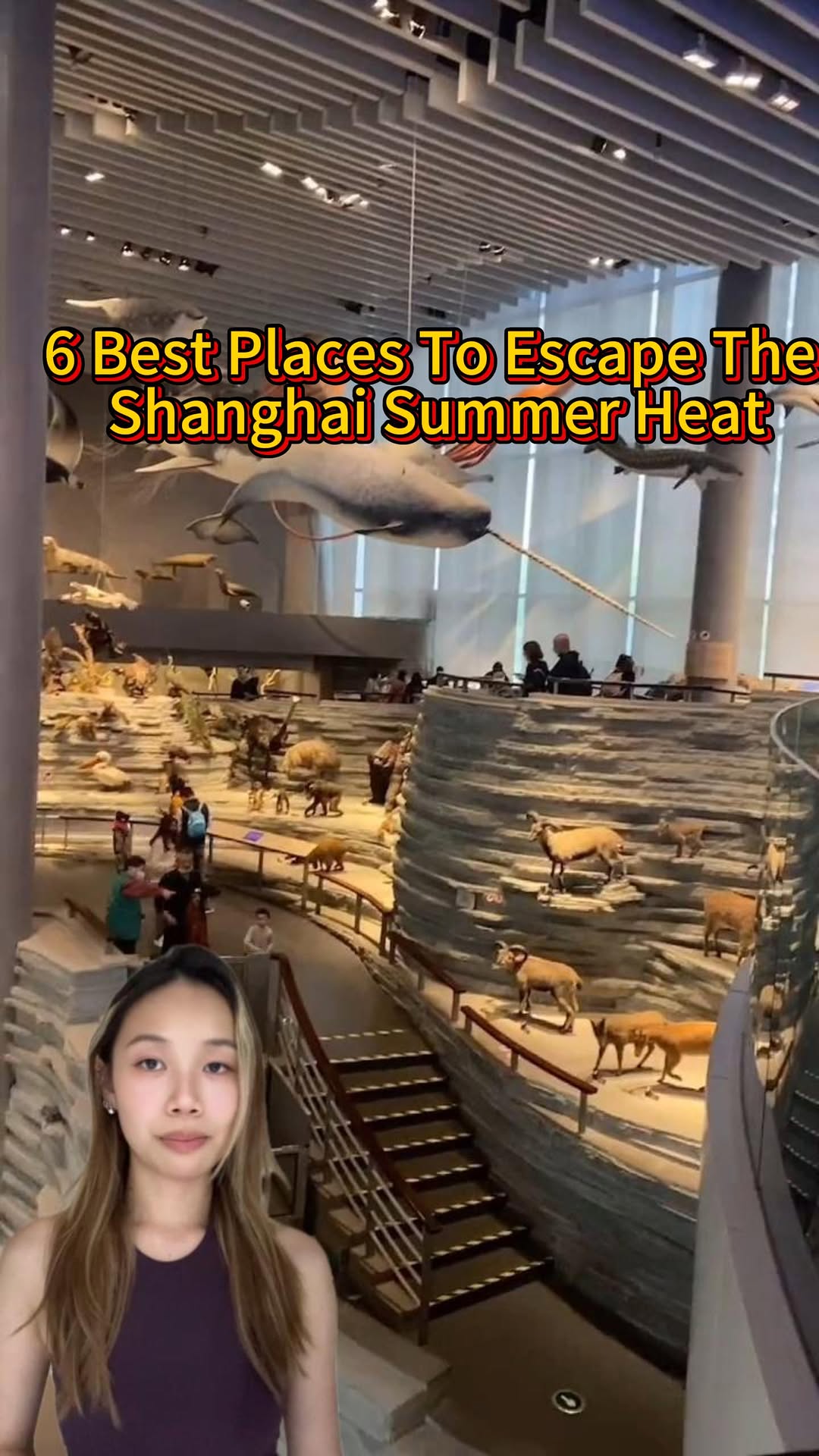 5 Places in Shang Hai Shi