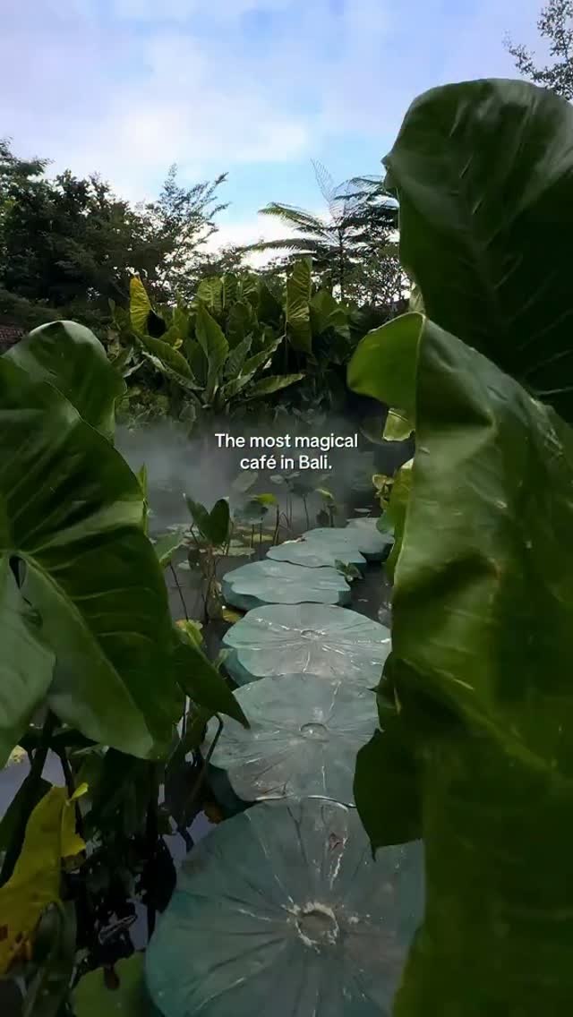 Magical Ubud Cafe With Lush Jungle Ambiance