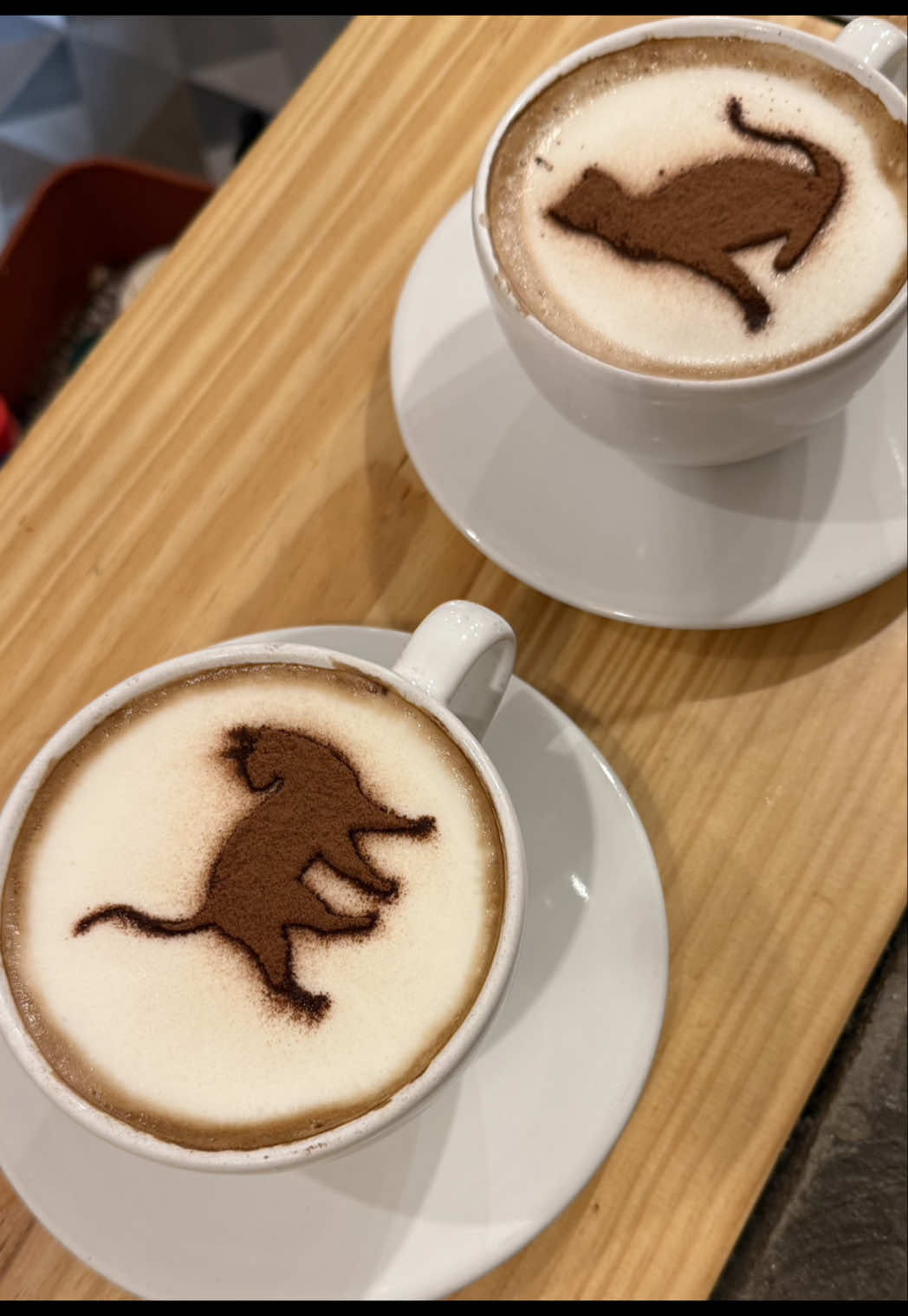 Vegan Cat Cafe Cares for Rescued Kittens