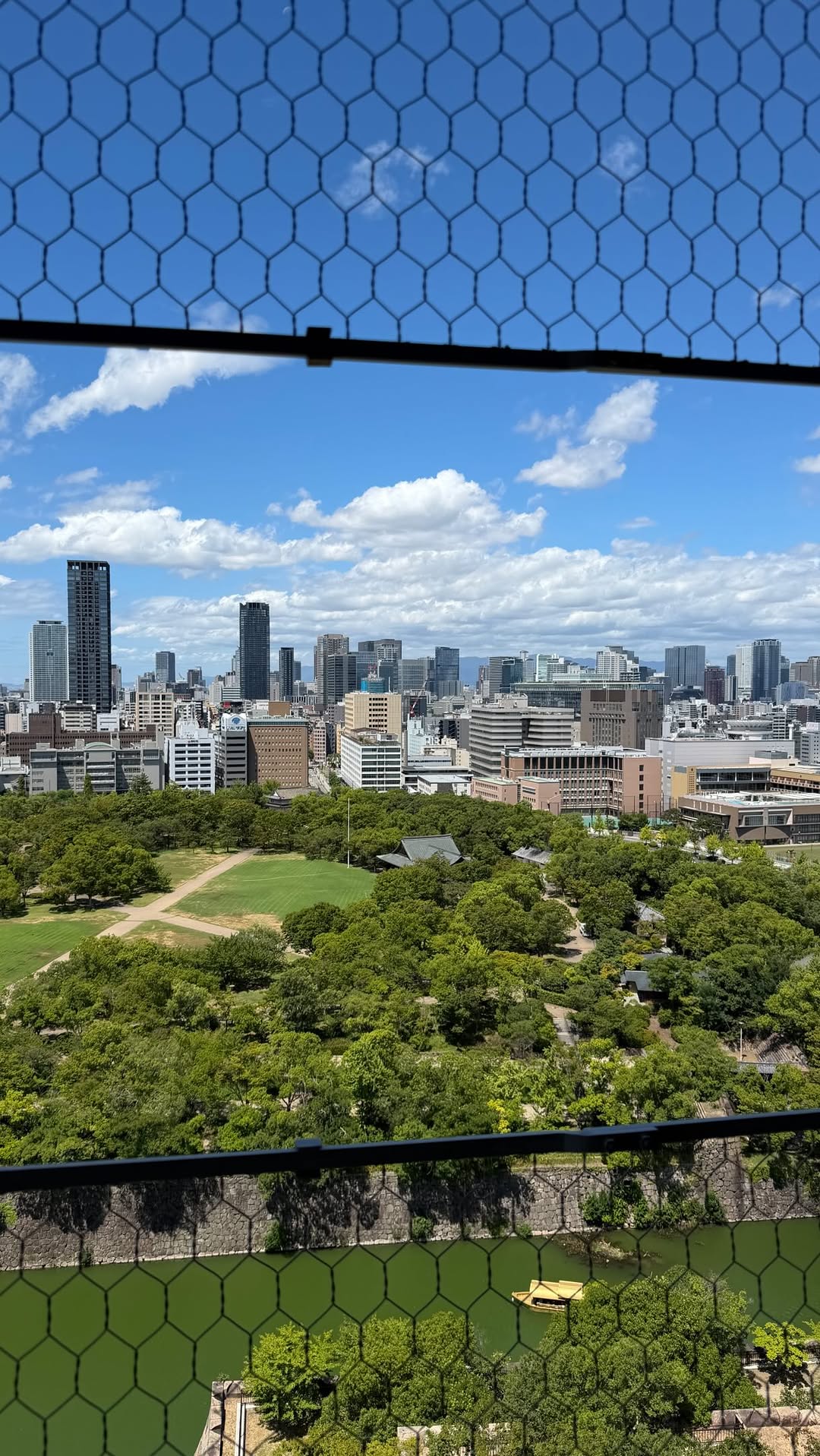 Osaka Food Tour Featuring Japanese Classics