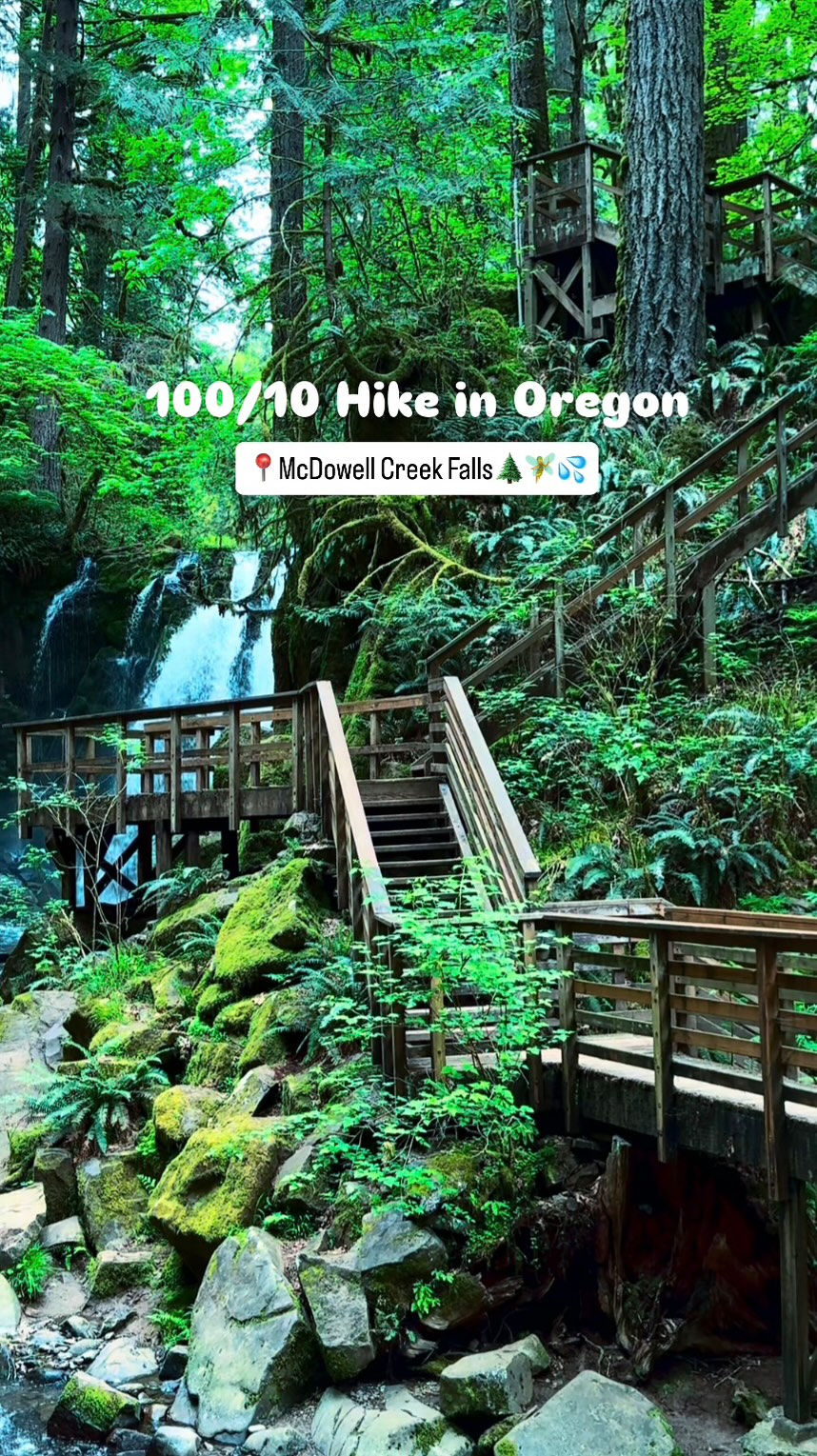 Oregon's McDowell Creek Falls County Park Hike