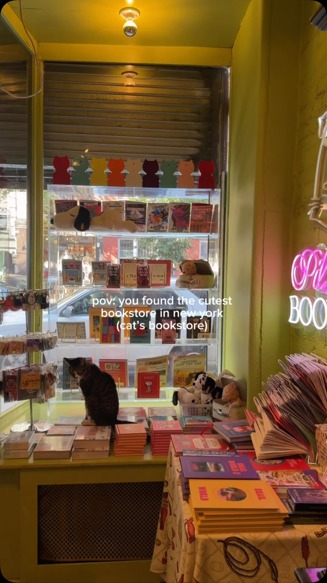 New York Bookstore Features Resident Cat