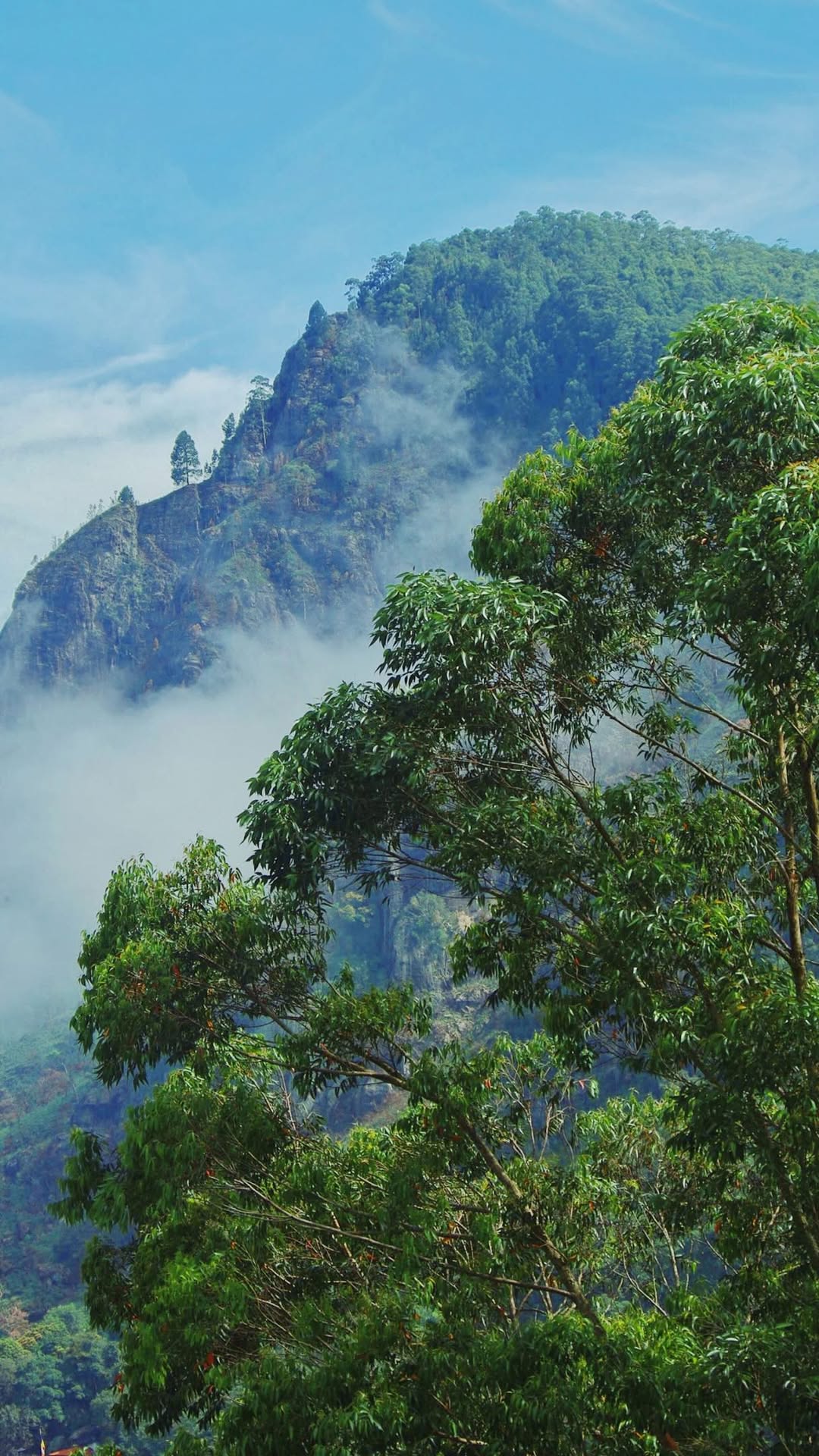 Diverse Sri Lanka: Beaches, Wildlife, History, and Tea
