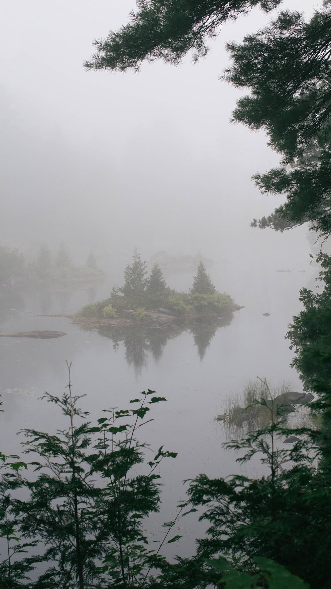 Algonquin Provincial Park Adventures