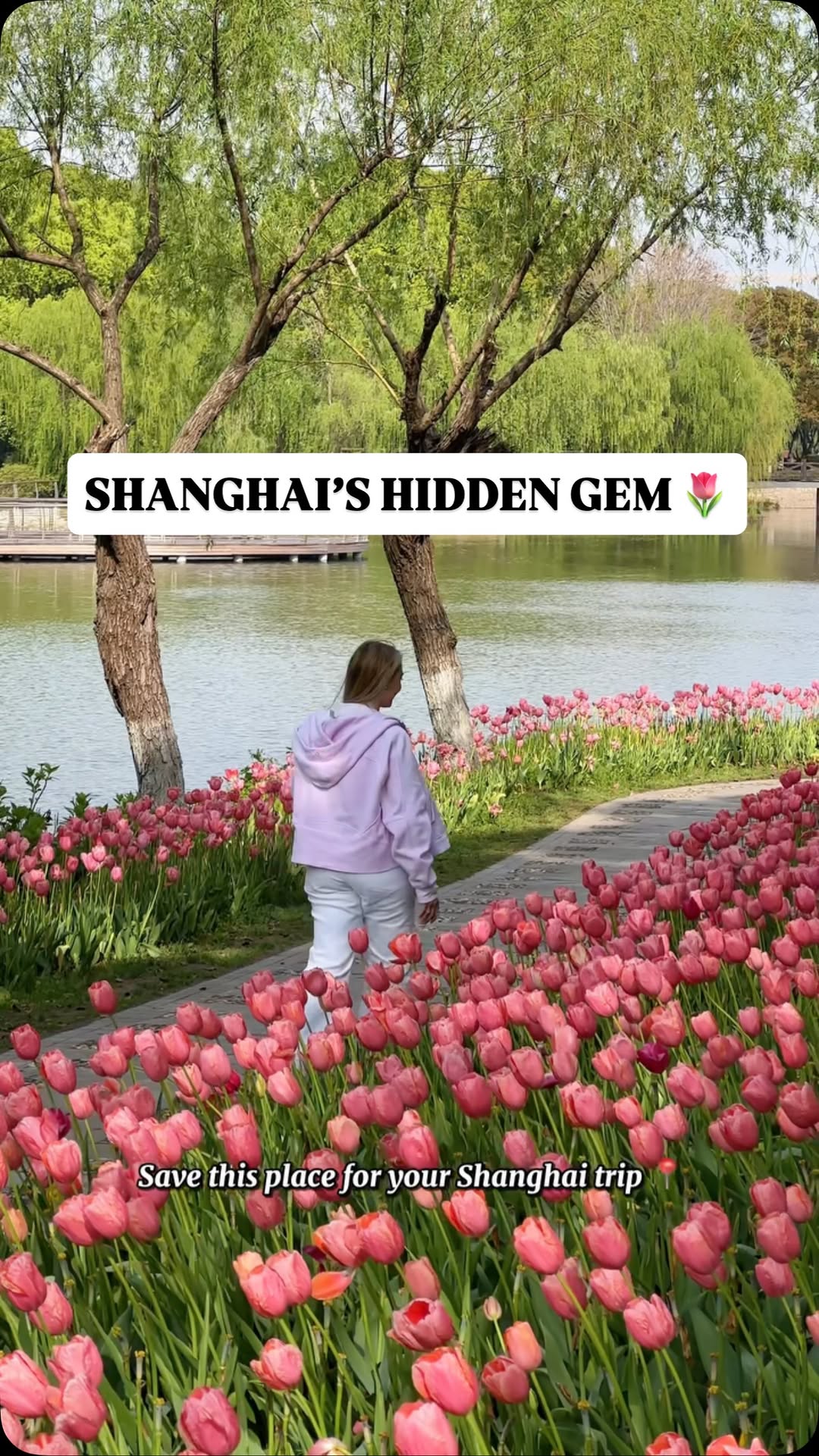 Shanghai Flower Port: A Hidden, Tourist-Free Oasis