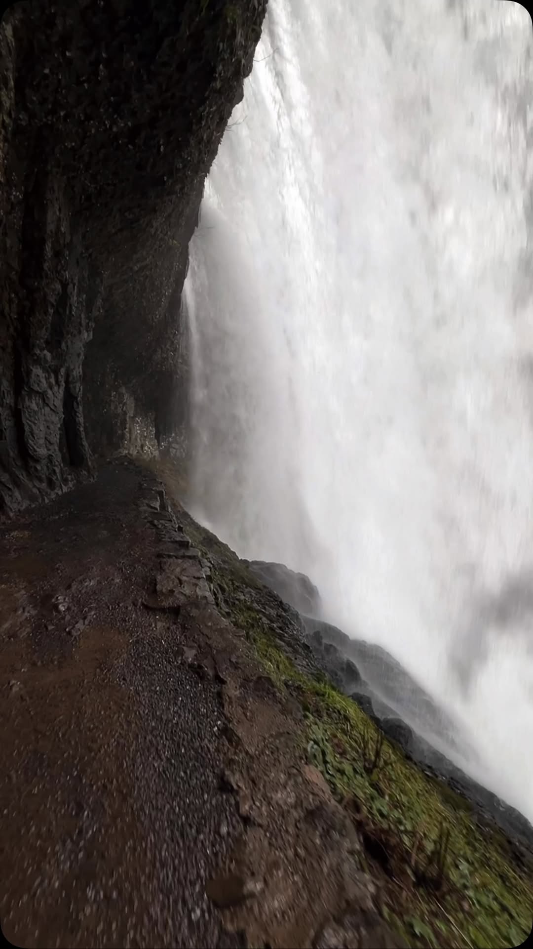 Oregon's Top Ten Waterfalls