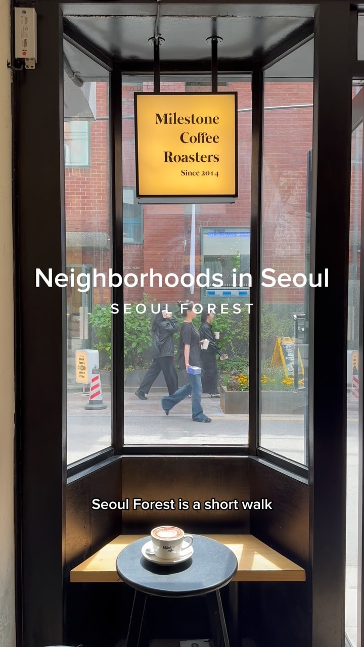 Seongsu and Seoul Forest Neighborhood Exploration