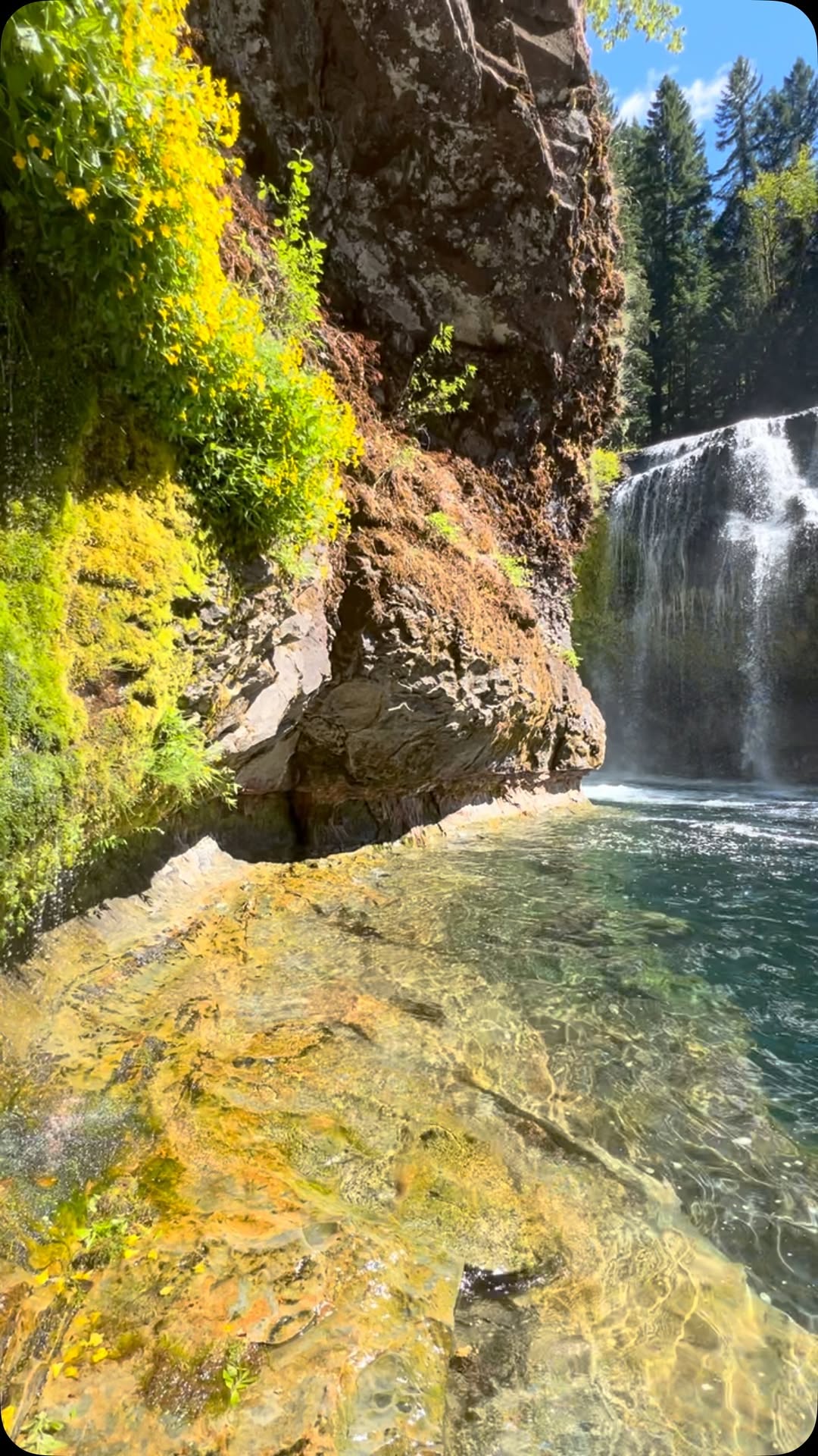 Lower Lewis River Falls: A Scenic Natural Escape