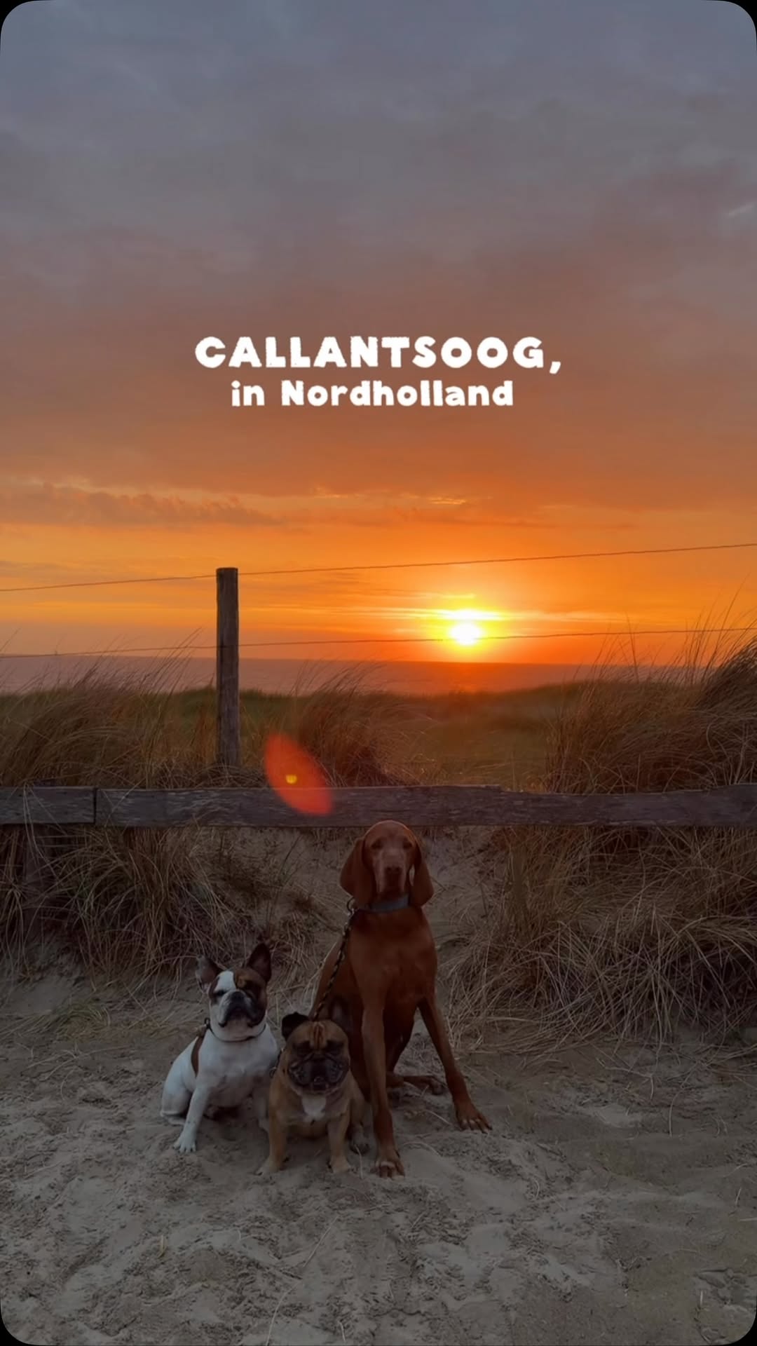 4 Places in North Holland