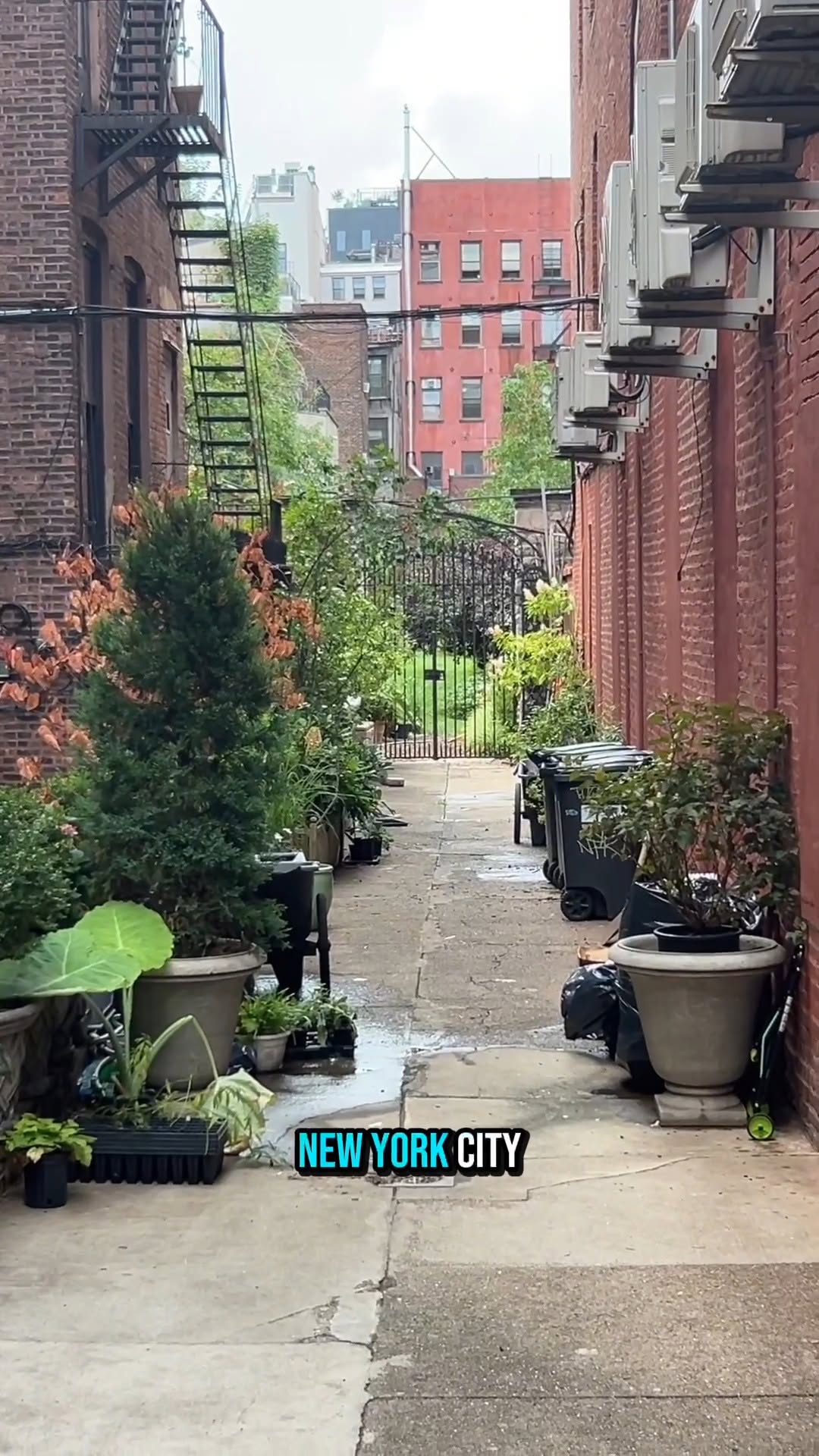 New York Marble Cemetery: Rare Public Access