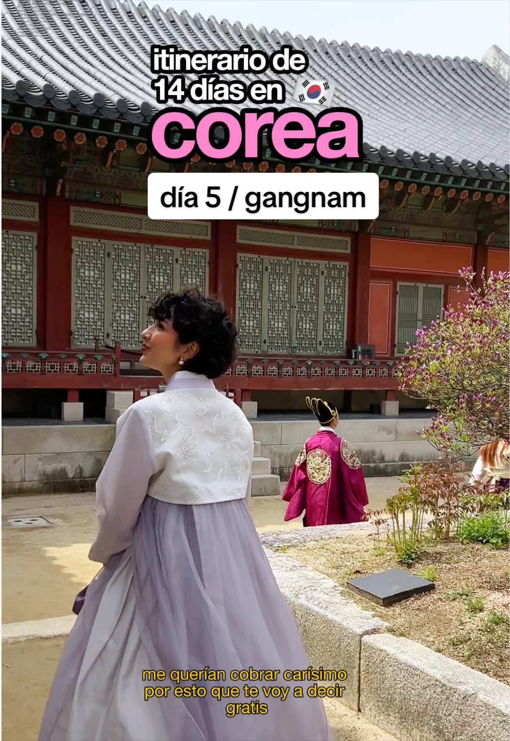 Gangnam's Royal Tombs, Shopping, and Rainbow Fountains