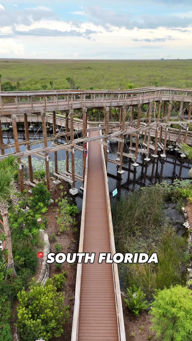 Everglades Boardwalk: Views, Wildlife, and Free Access
