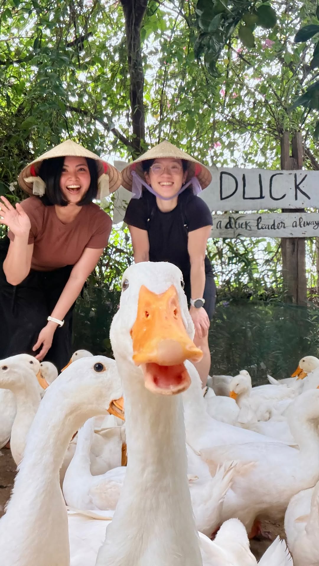 Vietnam Duck Farm Offers Unique Leadership Experience