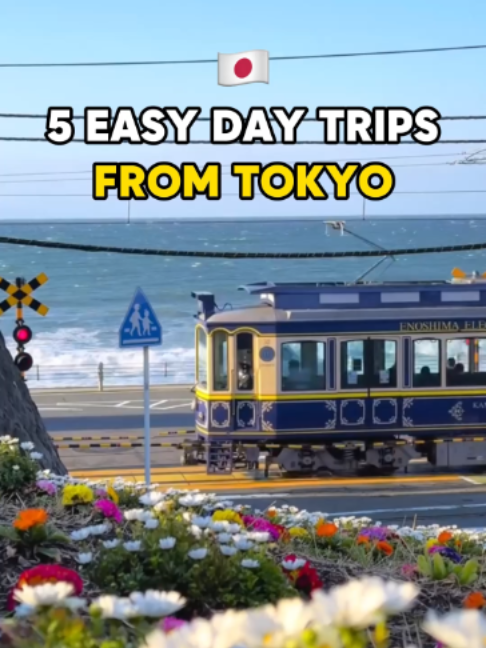 25 Attractions in Japan