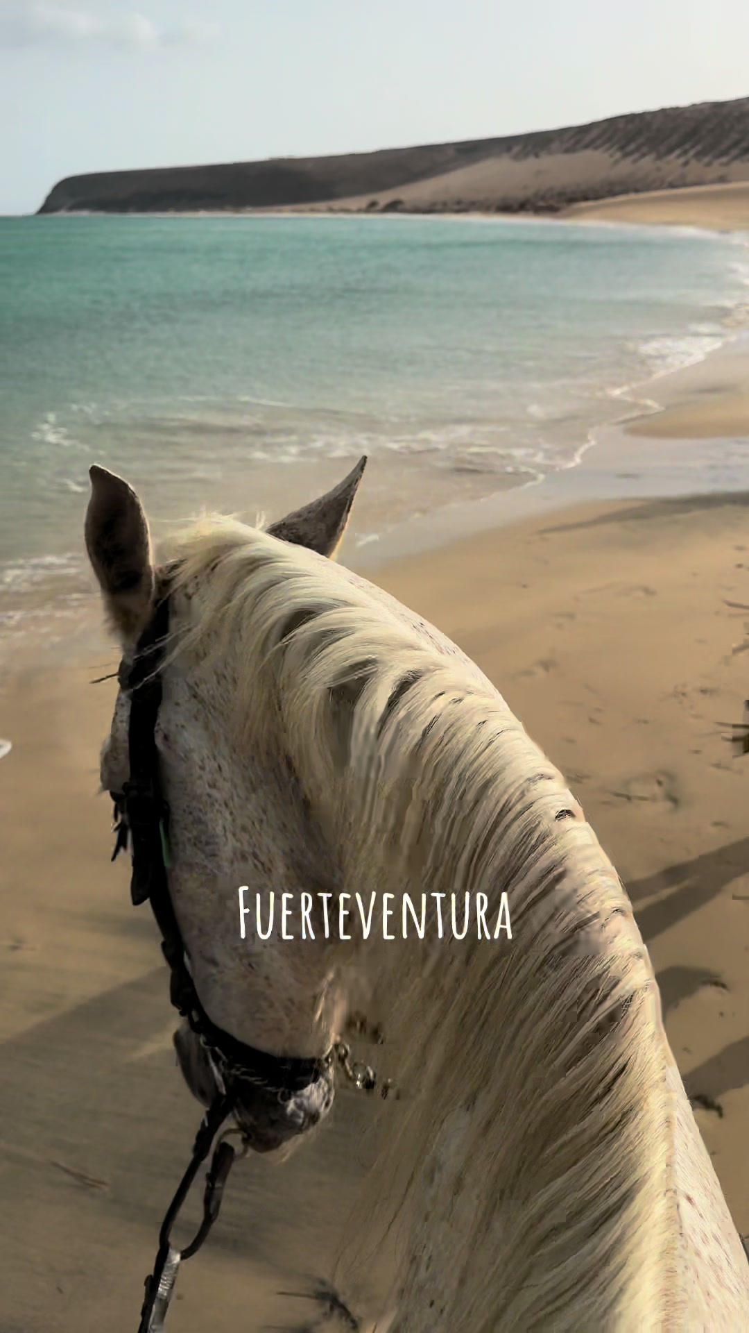 Fuerteventura: Horseback Riding on Jandía's Beaches
