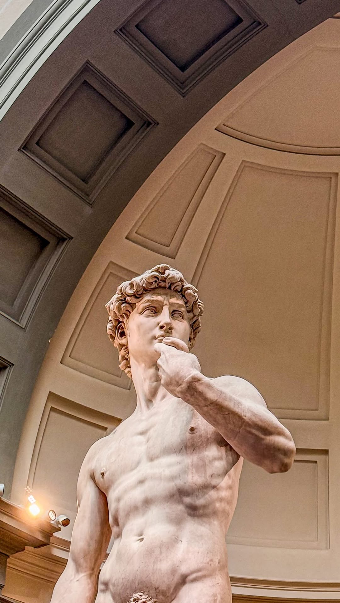 David Statue Masterpiece at Accademia Gallery