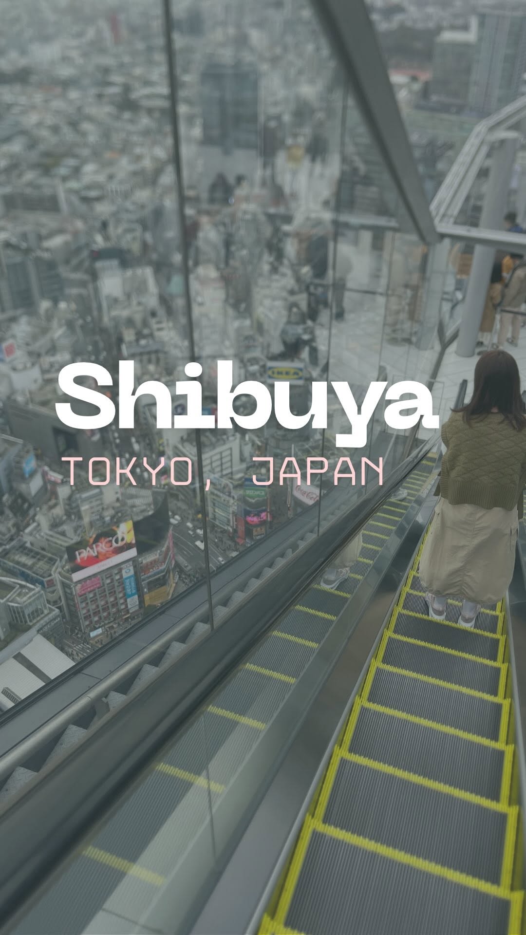 Tokyo's Shibuya and Harajuku: Iconic Sights and Experiences