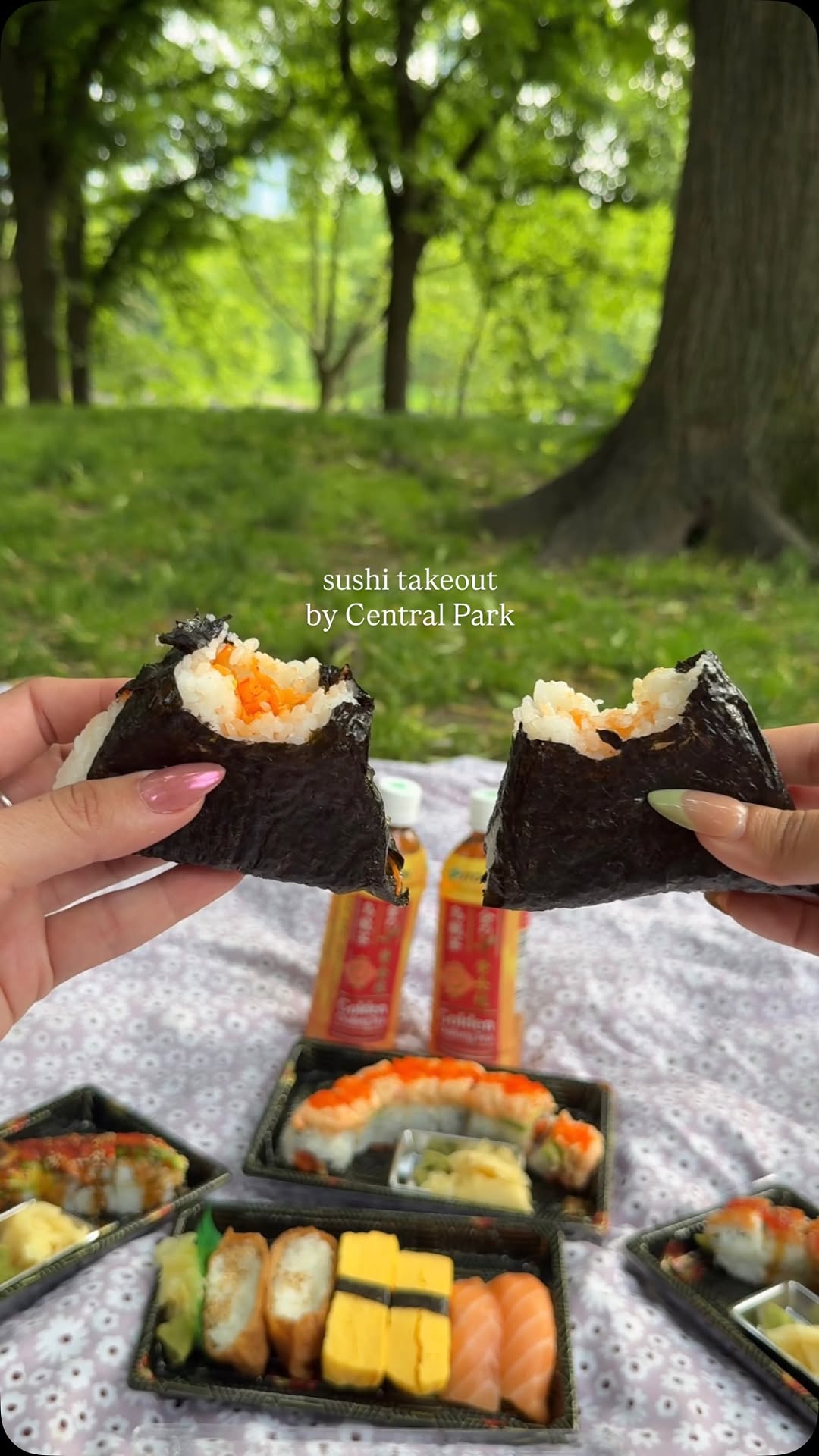 Picnic Sushi Options Near Central Park
