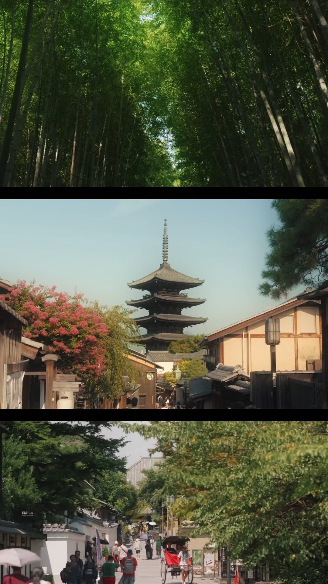 Explore Kyoto's Historic Temples and Natural Wonders