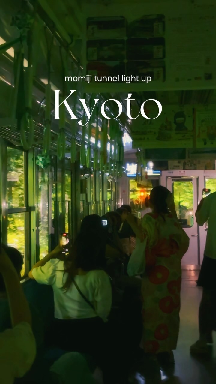 Kyoto Train Views Of Momiji Tunnel Light-Up