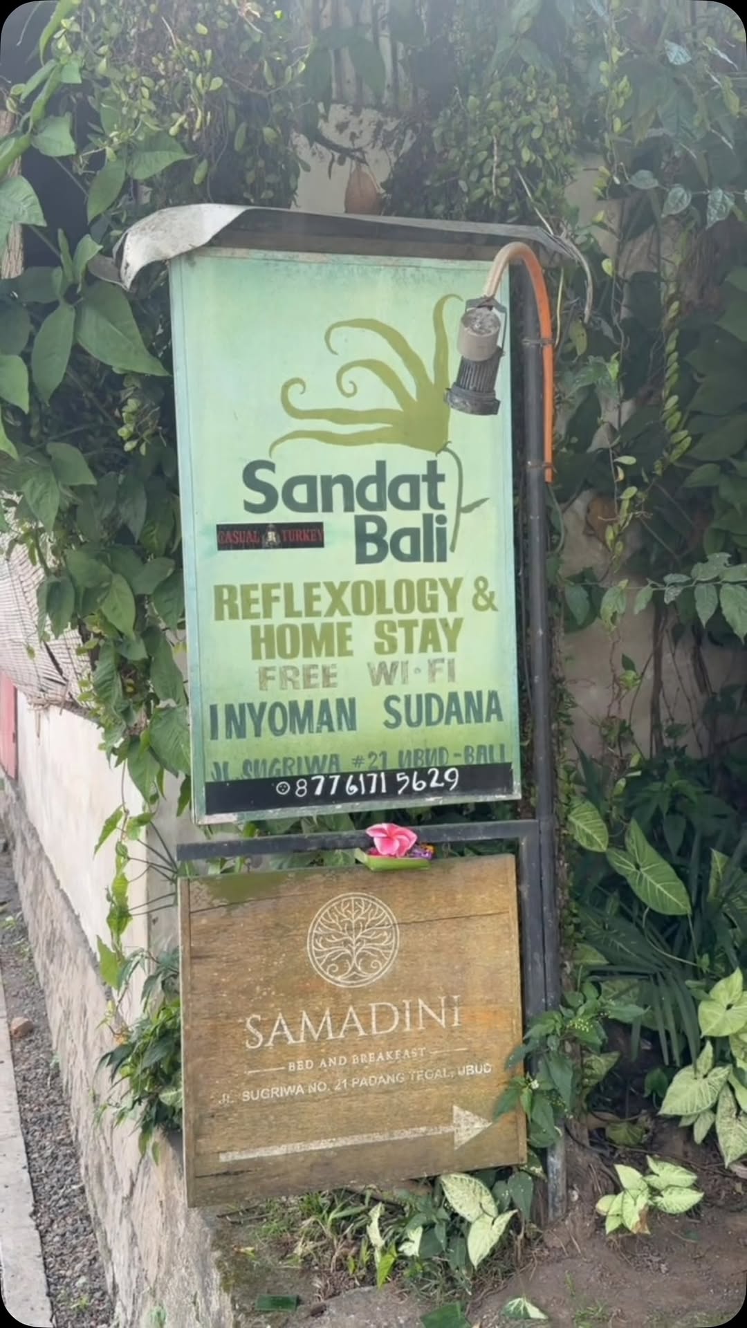 Bali Healer Offers Free Reflexology In Ubud