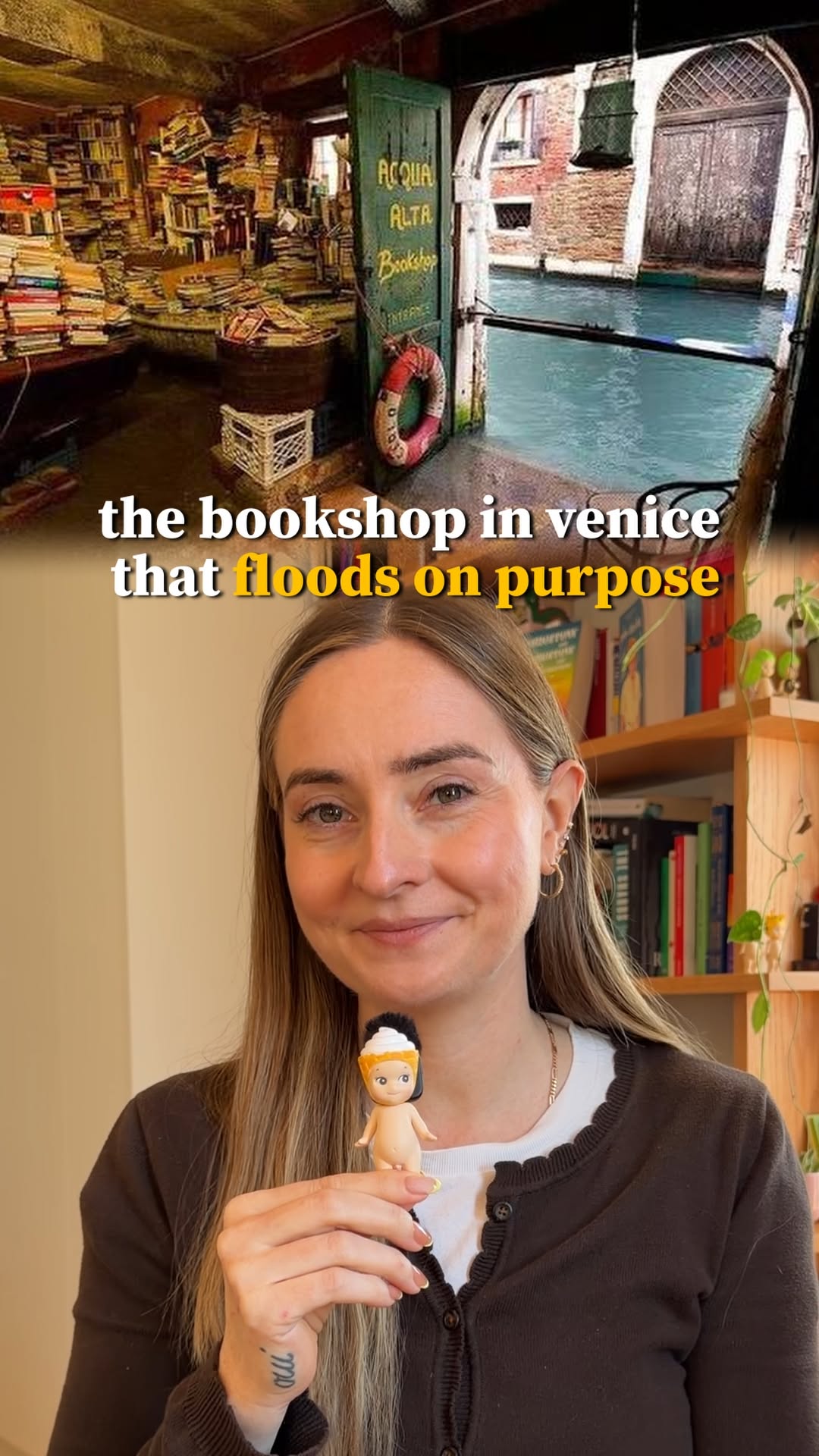 Venice Bookstore Resists Floods With Creative Storage