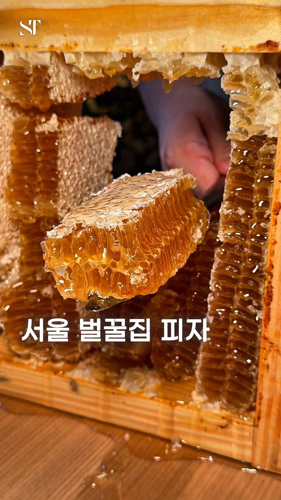 Honeycomb Pizza atop Wood-Fired Dough