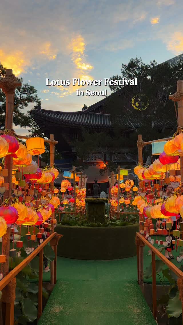 Jogyesa Temple Lotus Festival Offers Peace