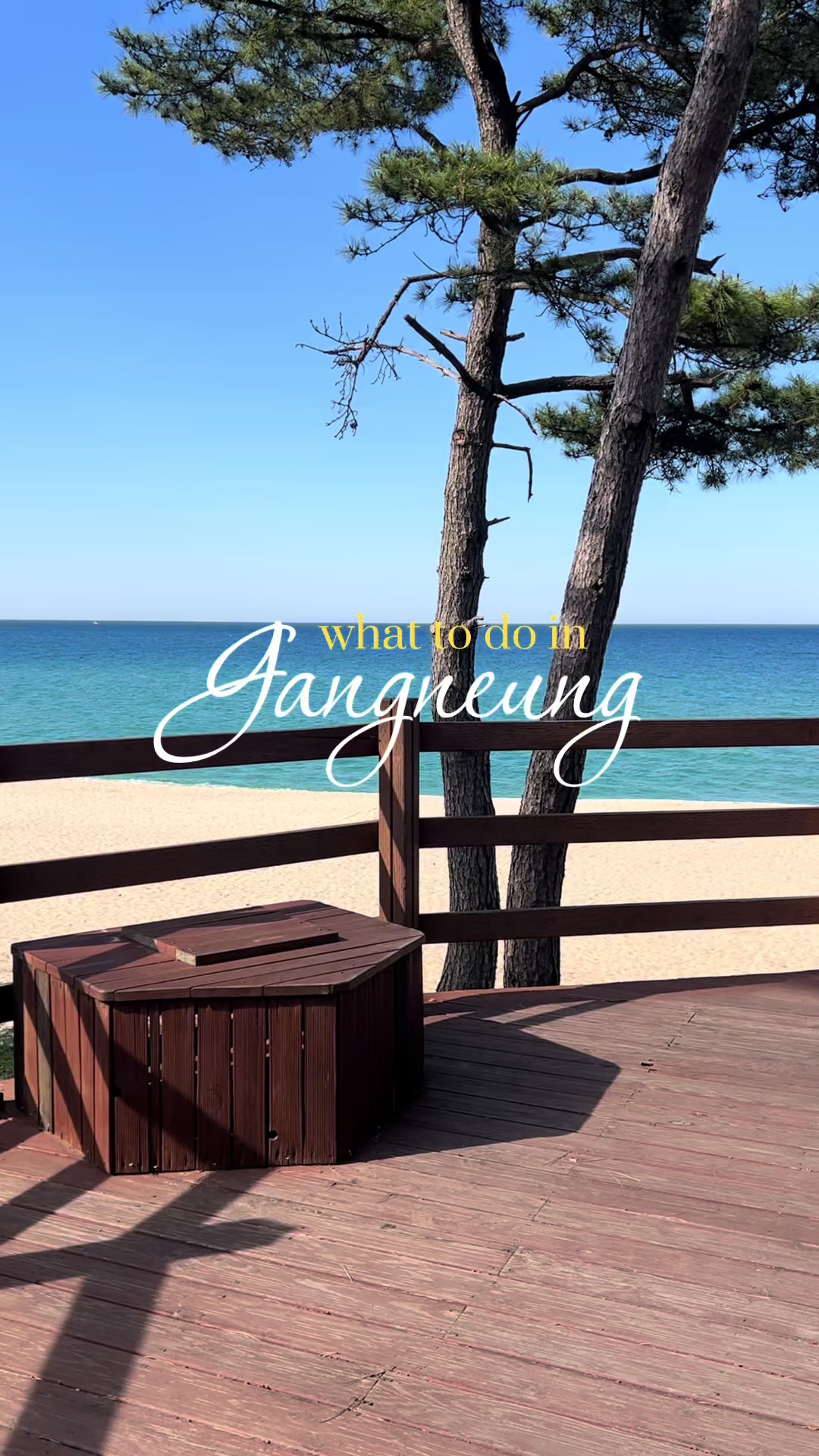 5 Beaches in Gangneung