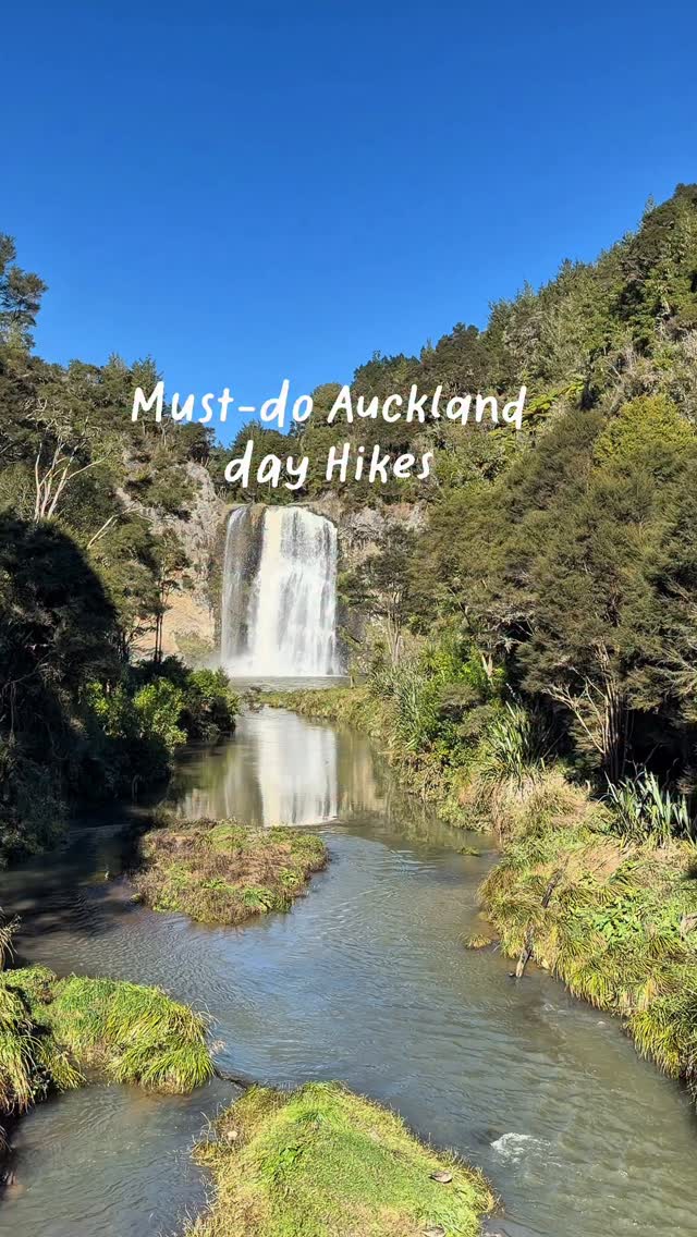 Auckland's Best Dog-Friendly Day Hikes