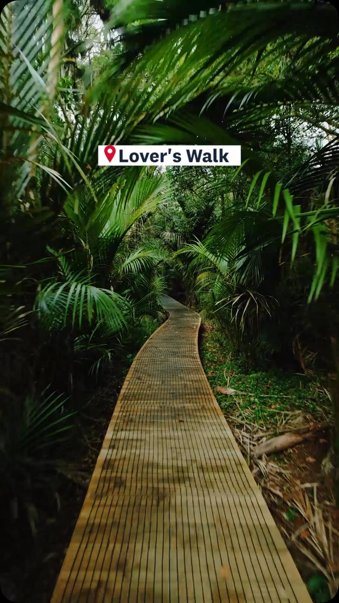 Auckland Museum and Lover's Walk Date