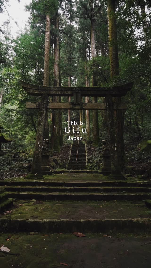 Gifu's Natural Beauty and Historic Charm