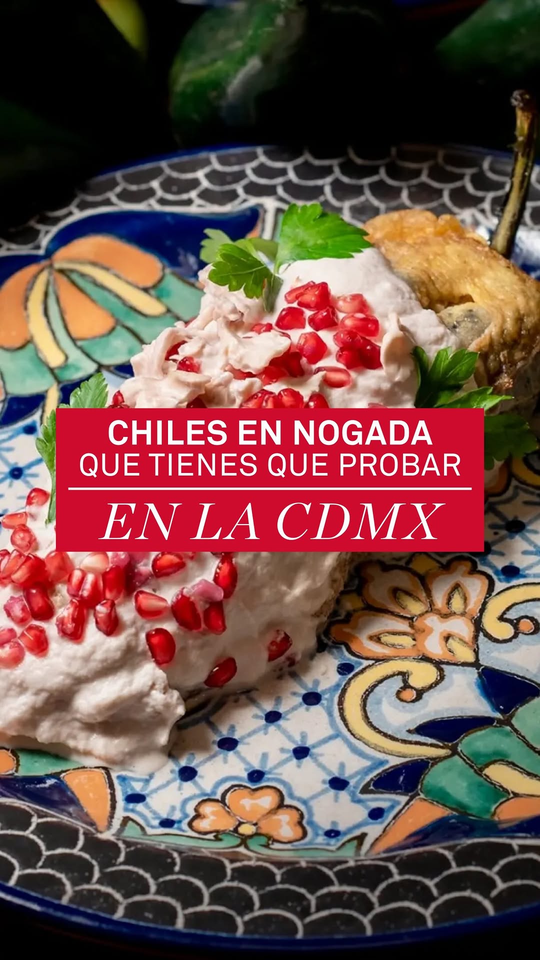 5 Restaurants in Ciudad de México