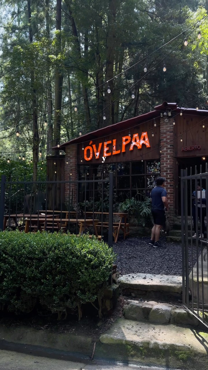 Forest Cafe Offers Peaceful Escape Near Mexico City