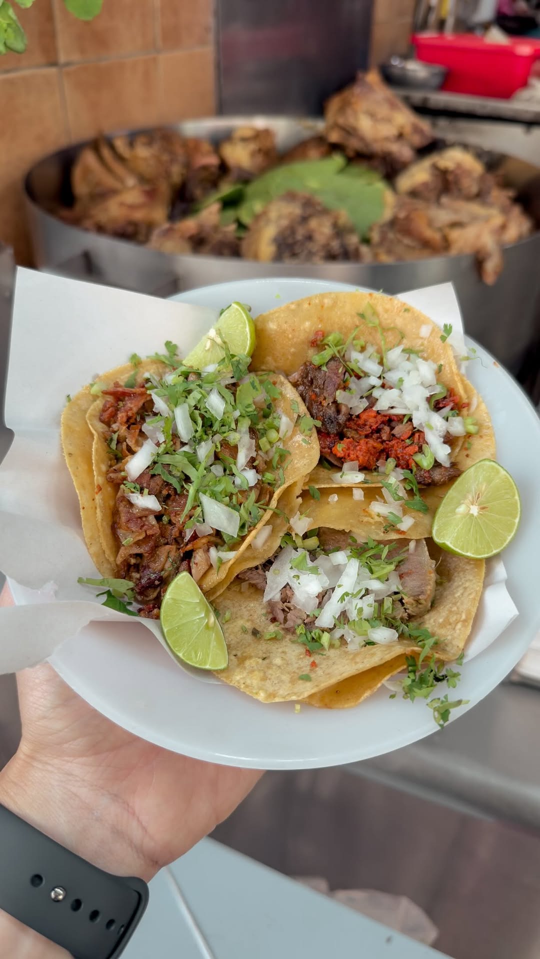 15 Restaurants in Ciudad de México