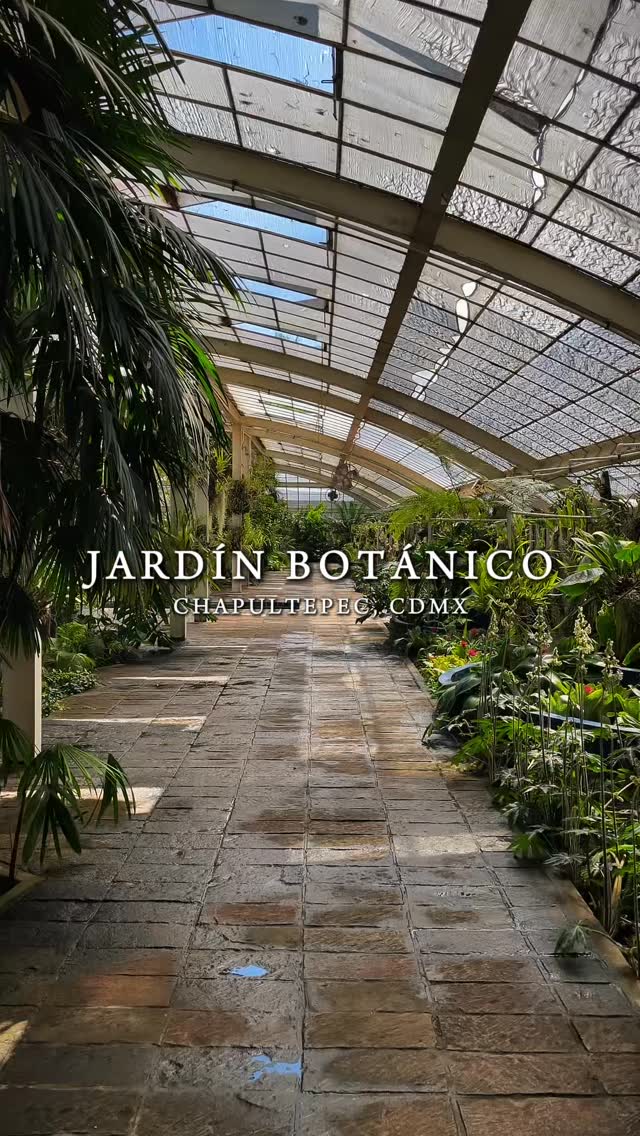 Chapultepec Botanical Gardens and Orchidarium