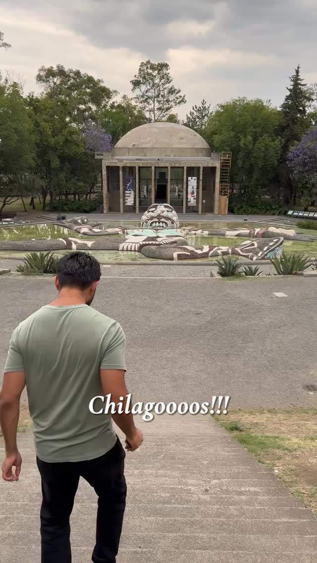 5 Attractions in Ciudad de México