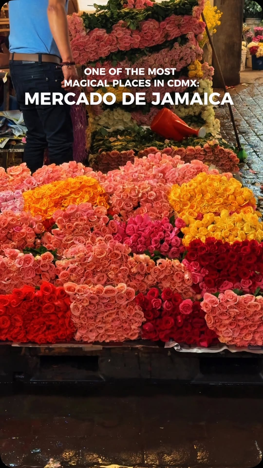 Vibrant Flower Market in Mexico City