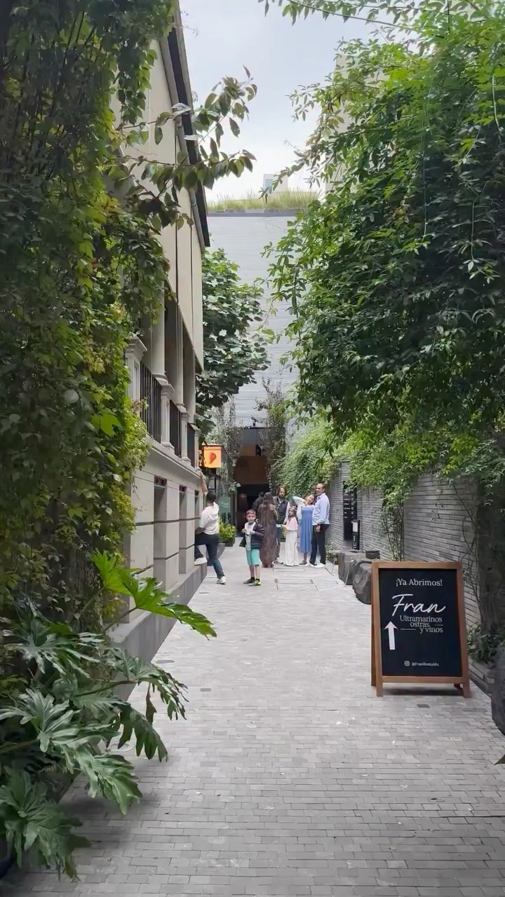 Mexico City Mansion: Art, Food, and Wellness Hub