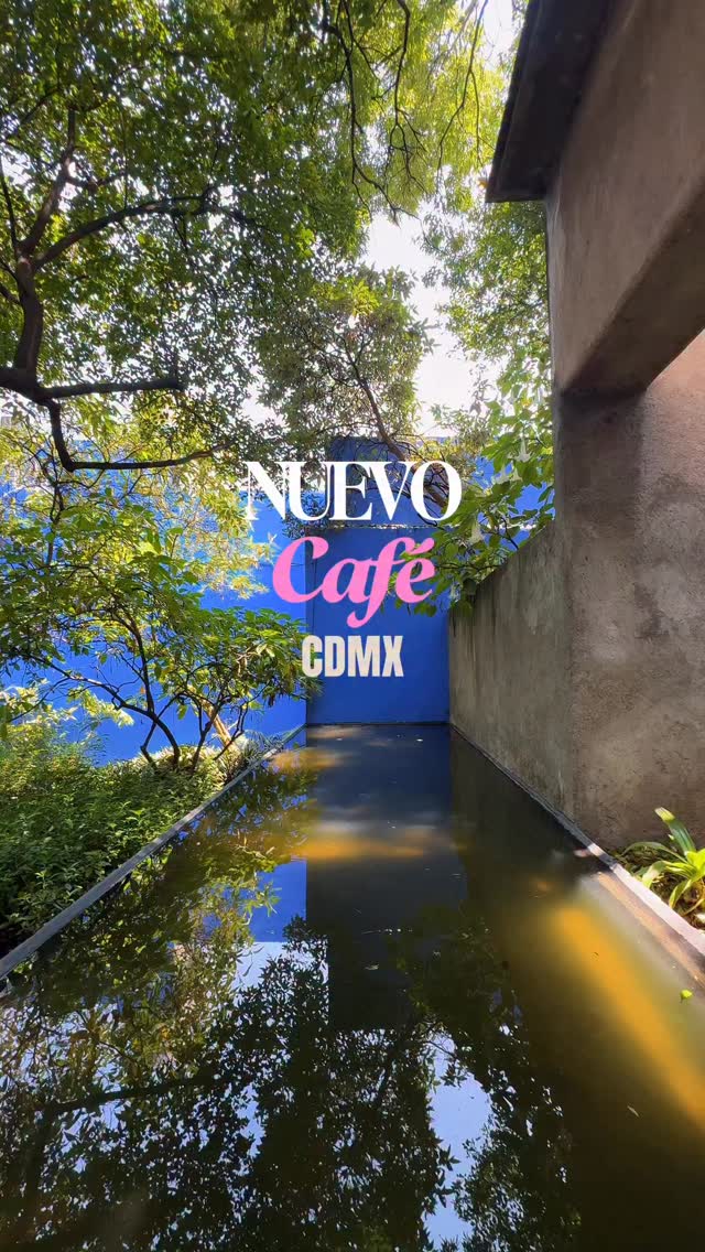 Mexico City's Architectural Havens and Cafes